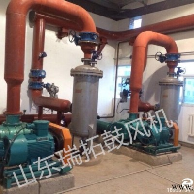 反沖洗風機 鍋爐除塵風機 膜清洗風機 輸送風機 返料抽料風機