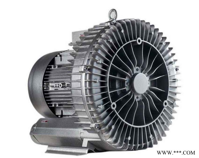 鋼網(wǎng)清洗機旋渦風(fēng)機選型用途特點