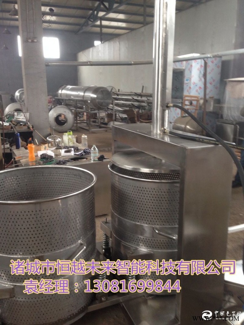 恒越未來(lái)HYWL-200L黃瓜脫水機(jī)果泥壓榨機(jī)
