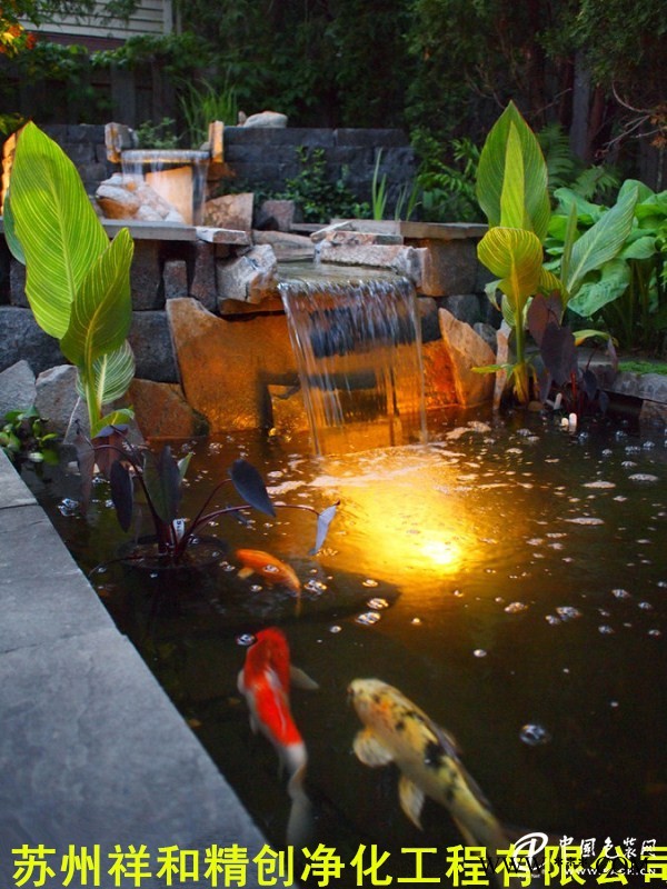 蘇州信譽(yù)好的魚(yú)池水處理公司，當(dāng)屬祥和精創(chuàng)凈化工程|磐安魚(yú)池水處理