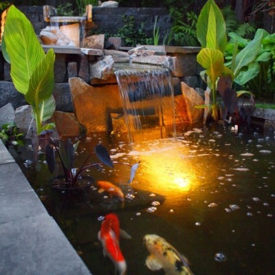 蘇州信譽(yù)好的魚(yú)池水處理公司，當(dāng)屬祥和精創(chuàng)凈化工程|磐安魚(yú)池水處理