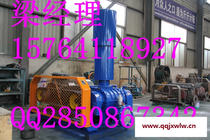 煉化設(shè)備生化風(fēng)機(jī) 生化鼓風(fēng)機(jī) 生化羅茨風(fēng)機(jī) 生化羅茨鼓風(fēng)機(jī)