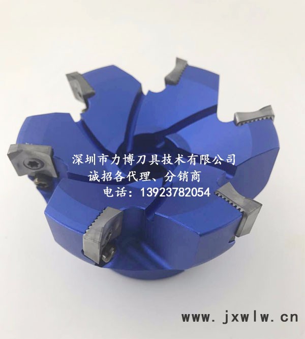 LEEPPLE品牌面銑刀盤 高光鋁刀盤 電腦 平板電腦面銑鋁用刀盤 數控刀具 面銑刀盤