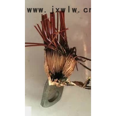 工巧智能科技 GQH-01電機(jī)端子壓接漆包線免去漆皮 焊接機(jī) 漆包線焊接設(shè)備 ** 質(zhì)保價(jià)廉