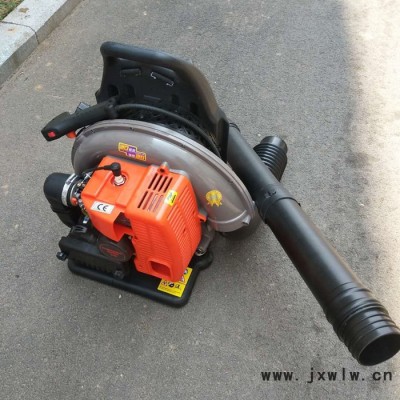 背負(fù)式吹風(fēng)機(jī) 汽油吹風(fēng)機(jī) 落葉吹風(fēng)機(jī) 吹風(fēng)機(jī)廠家 吹風(fēng)機(jī)價(jià)格 吹風(fēng)機(jī)