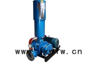 羅茨風(fēng)機(jī) 羅茨風(fēng)機(jī)型號