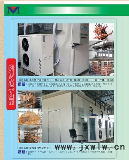 耐朗Nl-KEF-30II其他干燥設備廣西臘鴨烘干設備