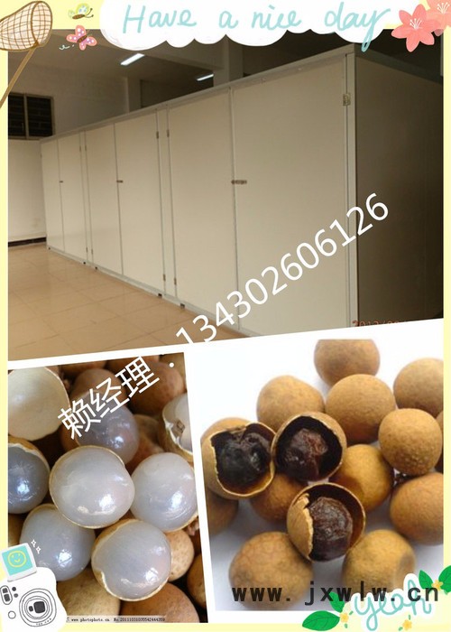 小型龍眼烘干機(jī) 全制動(dòng)化除濕干燥設(shè)備 ** 批發(fā)優(yōu)惠價(jià)