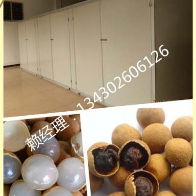 小型龍眼烘干機(jī) 全制動(dòng)化除濕干燥設(shè)備 ** 批發(fā)優(yōu)惠價(jià)