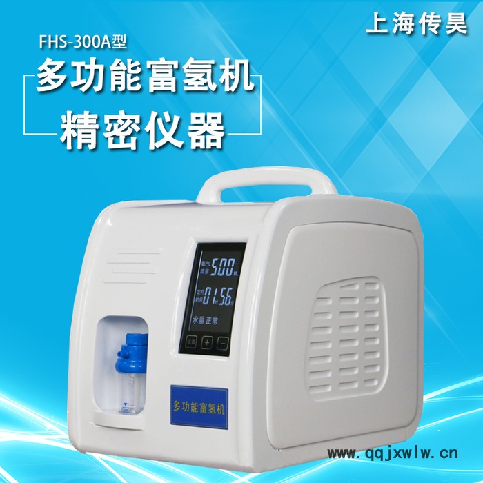 上海傳昊廠家專業(yè)生產(chǎn)FHS-300A多功能富氫機(jī)   燃?xì)夥治鰞x  色譜儀