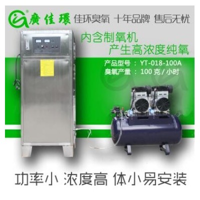 湖北水處理臭氧發(fā)生器廠家 氧氣源100g高濃度純水臭氧消毒機(jī)