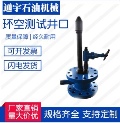 江蘇通宇石油機(jī)械廠家直銷環(huán)空測試井口