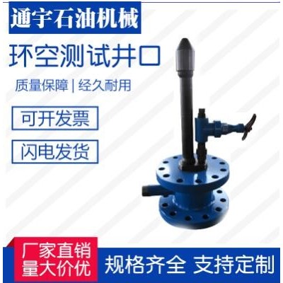 江蘇通宇石油機(jī)械廠家直銷環(huán)空測(cè)試井口